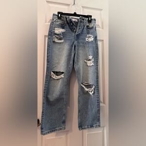 Size 26 Vervet Denim Jean Ankle length